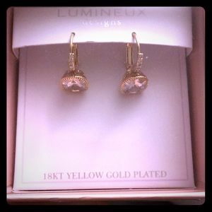 Gold Plated Earrings